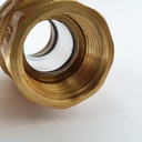 Brass 3/4" FPT ball valve