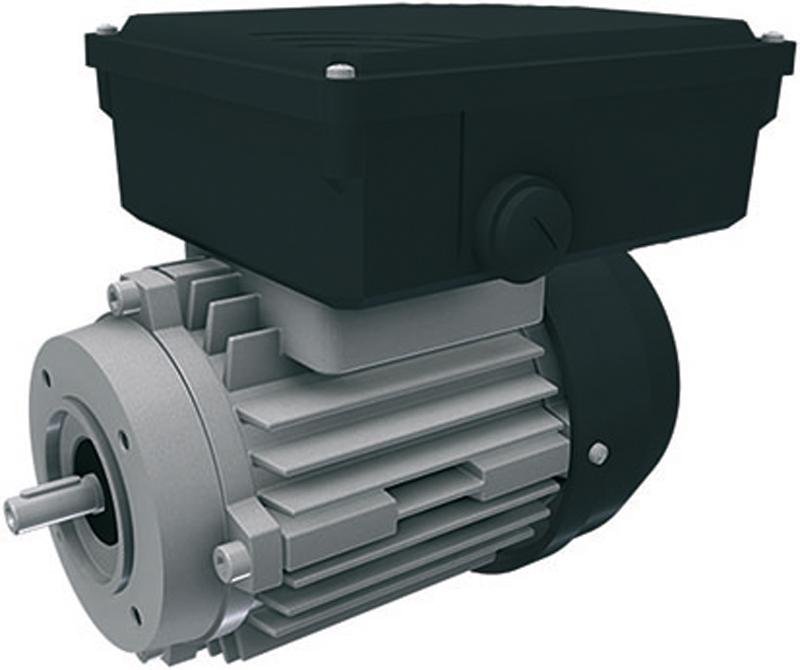 Moteur remplacement Ridder  RW/PRD 1-phase 110-115-120V (0.09 kw/60 Hz) 3 fils, type F (RW-45)