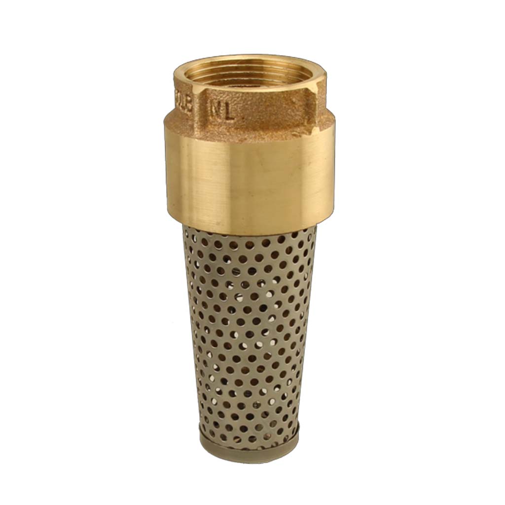 2" brass foot valve