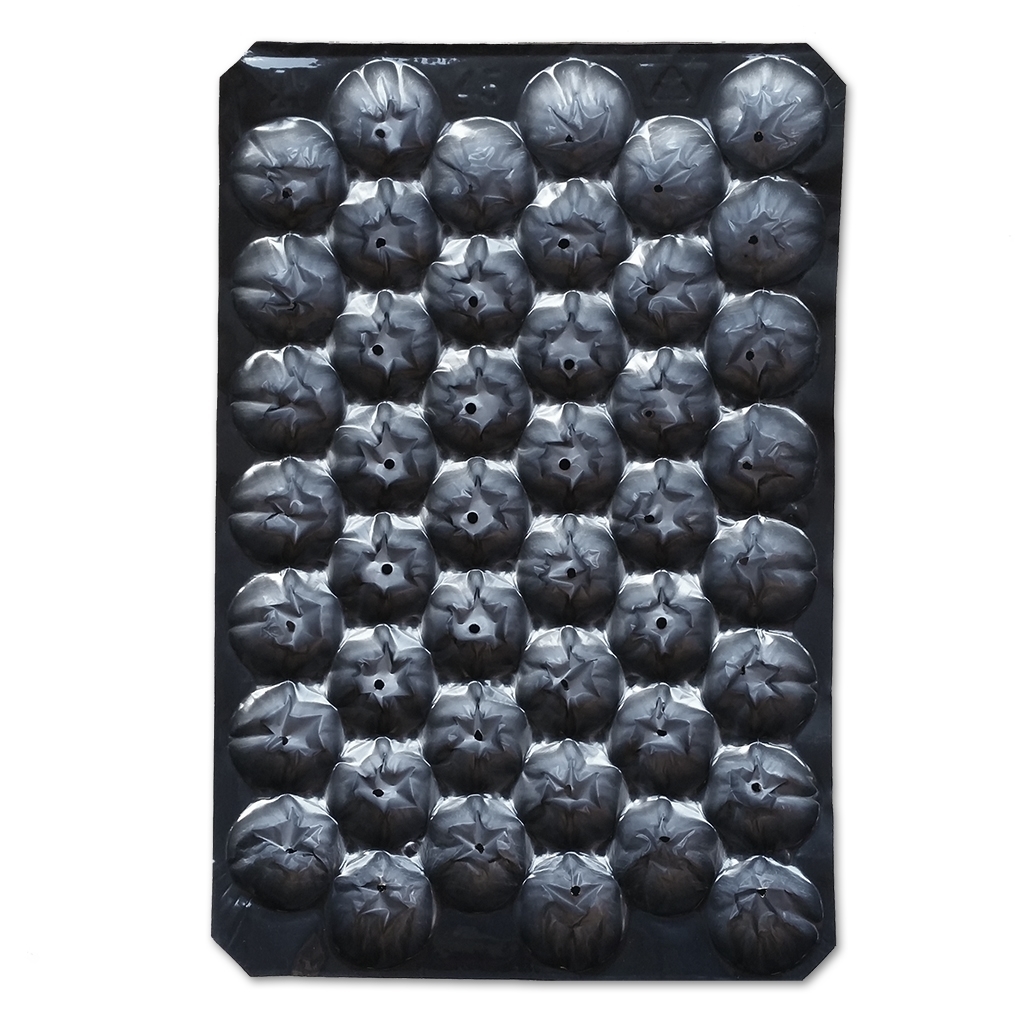 Alvéolos #45 negro (tomates 150g/5,3oz)  (700/cs)