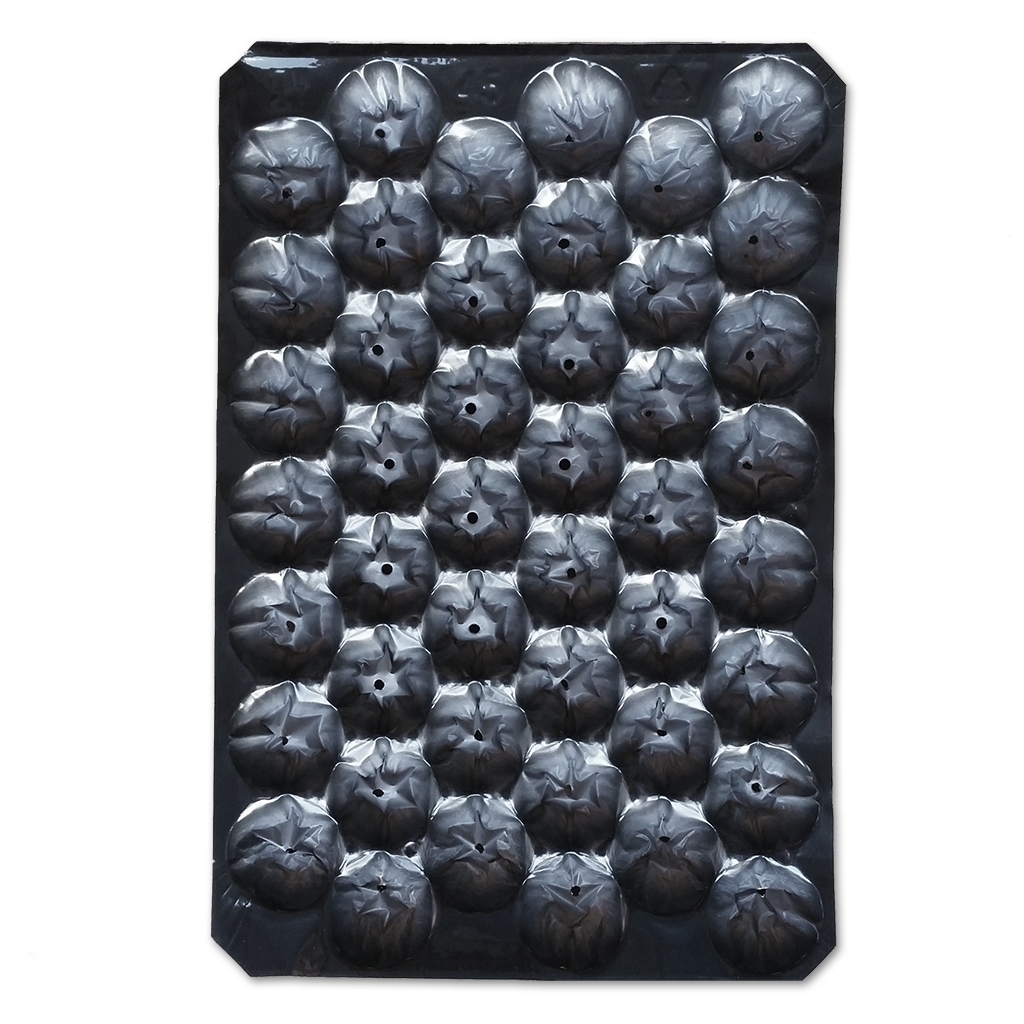 Fruit trays #45 black 30g (tomatoes 150g/5.3oz) (700/cs)