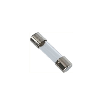 Berg P. Glass fuse 5x20mm 6.3 A T 