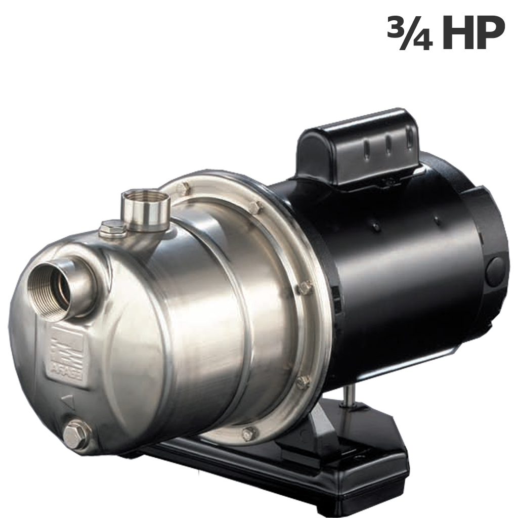 Pompe Ebara JEU806, 3/4HP 115/230V, Viton, pour service continu