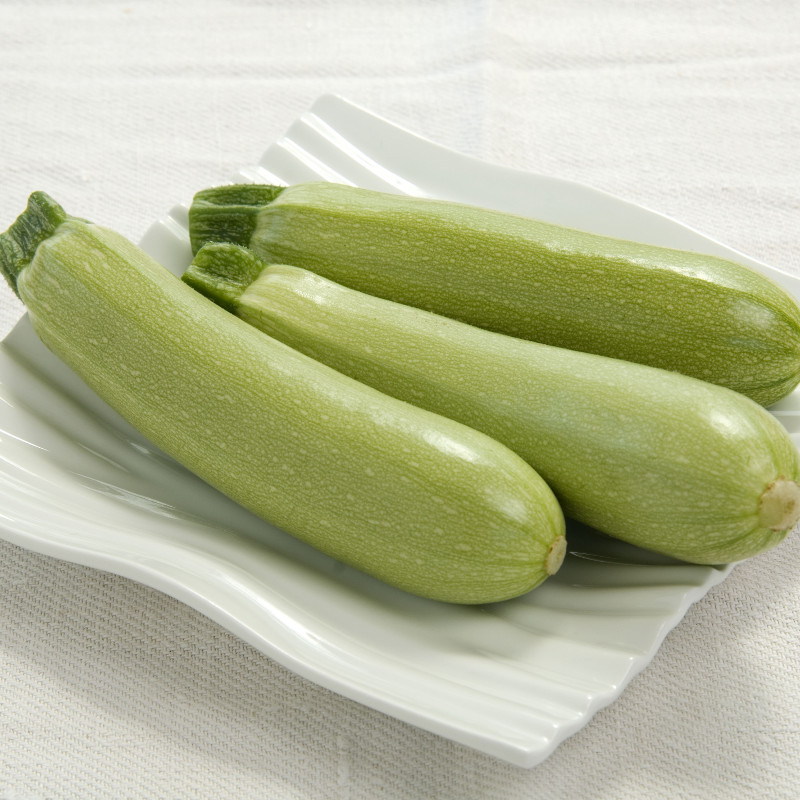 Summer squash AMALTHEE organic (Gaut) pale green zucchini