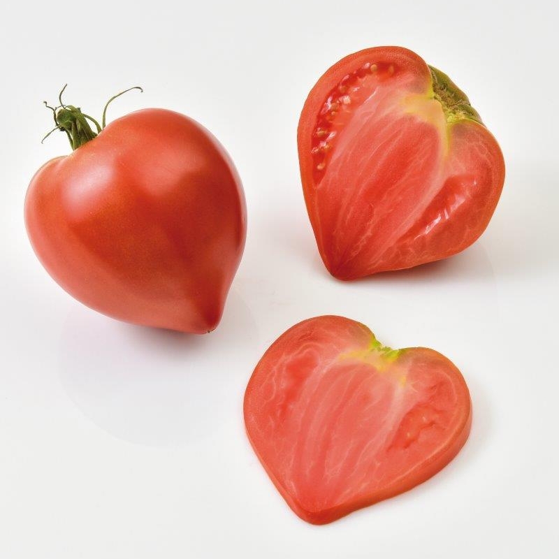 Tomate CORIZIA sin tratar (Gaut) rojo (100/pk)