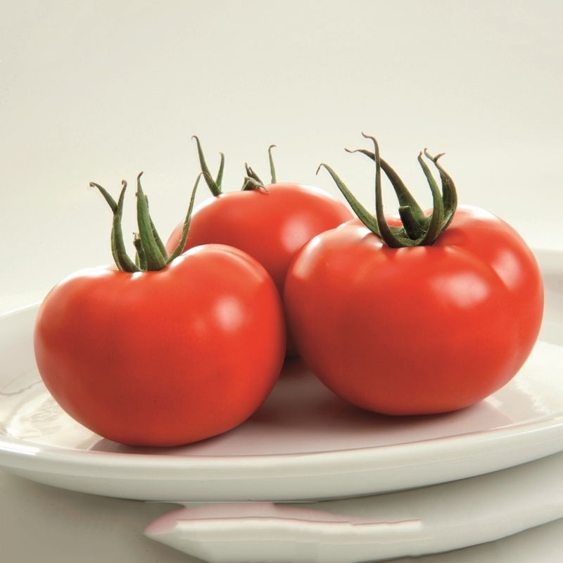 ​​Tomato NATYSSA N-T (Gaut) round red