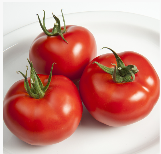 ​​Tomato TYFRANE N-T (Gaut) round red (100/pk)