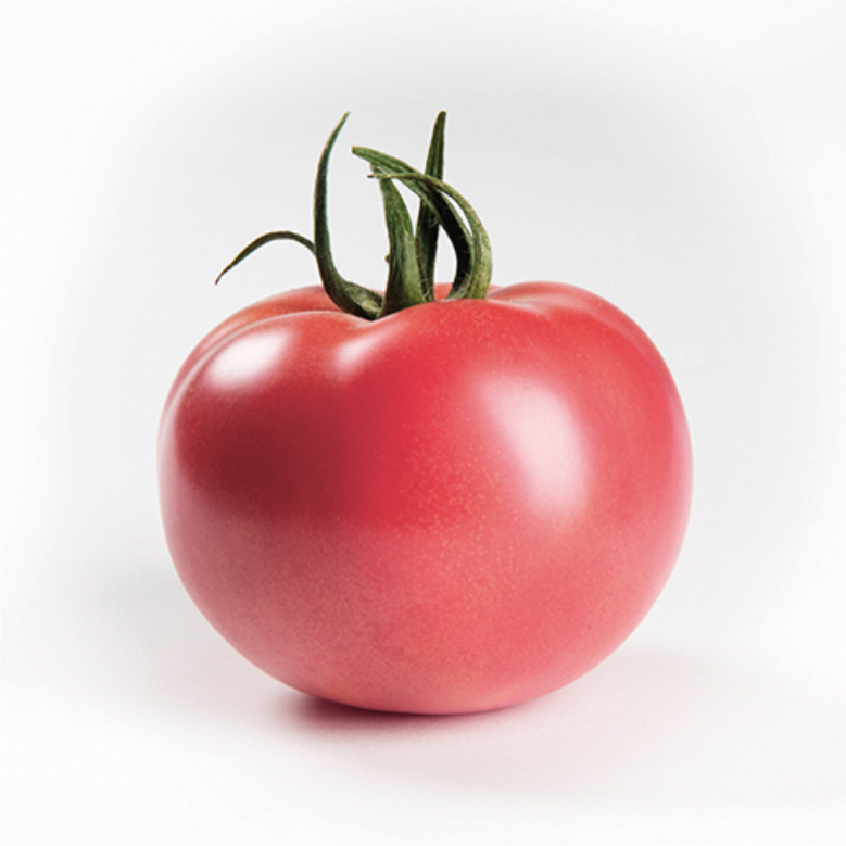 Tomato ENROZA untreated (Enza) Beef pink (1000/pk)