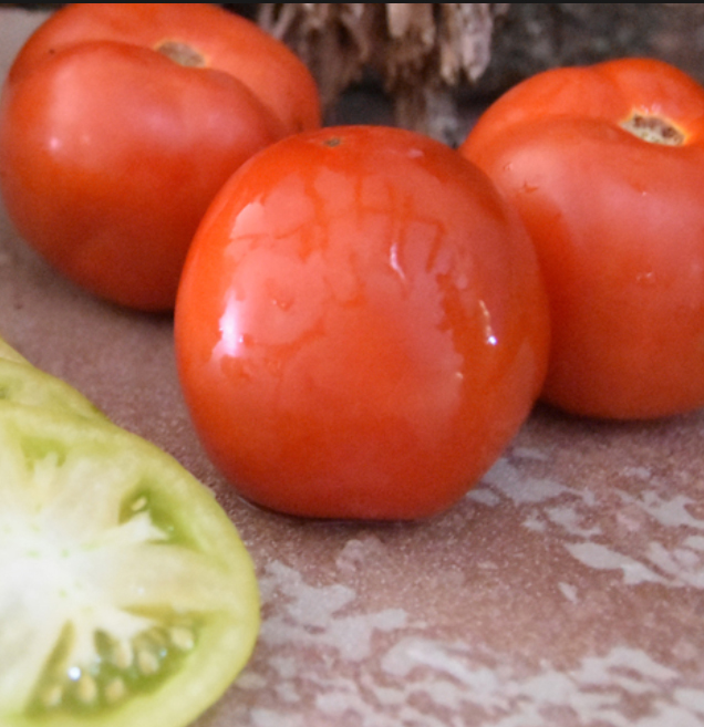 Tomato WINTER HAVEN 163 untreated (Enza) Beef red determinate (1000/pk)