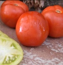 Sem. Tomate WINTER HAVEN 163 N-T (Enza) beef rouge déterminée (1000/pqt)