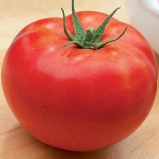 ​​Tomato BAPTYSTA untreated (Gaut) beef red (100/pk)
