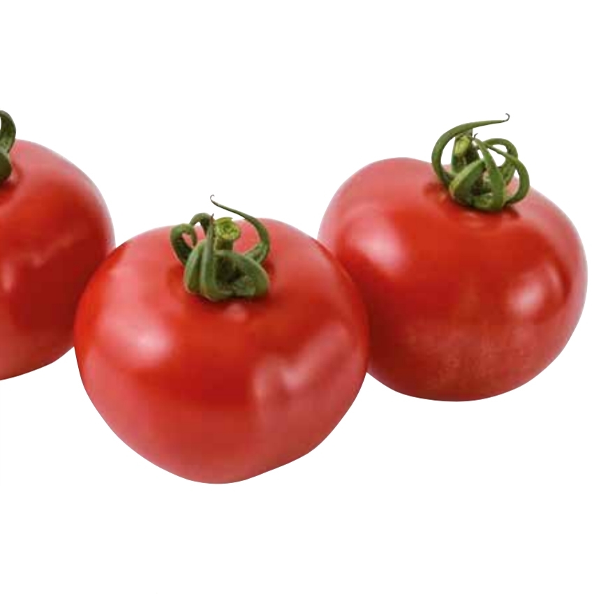 ​​Tomato LUTECIA untreated (Gaut) small red beef (100/pqt)