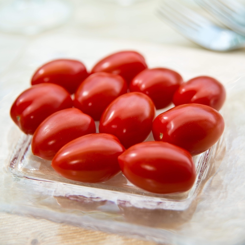 Tomato BELLACIO untreated (Gaut) red grape (100/pqt)
