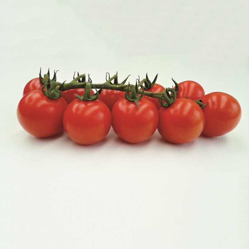 ​​Tomato TANKINI (K4)untreated (Gaut) cocktail red (100/pk)