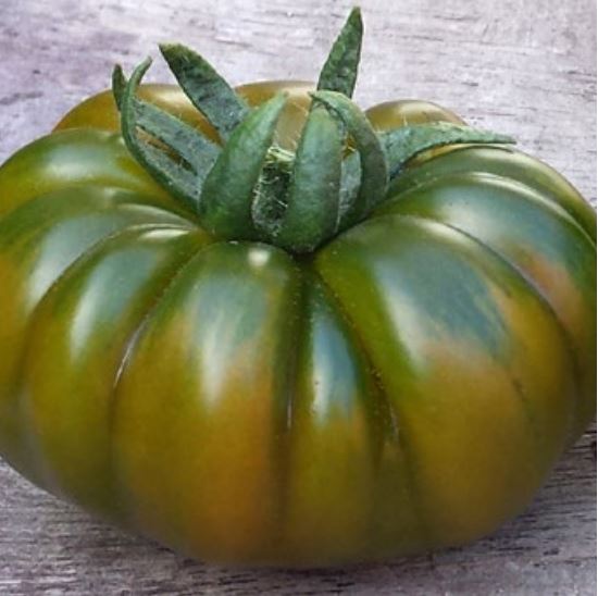 Tomato RAFFY (DCM532) untreated (Gaut) marmande red (100/pk)