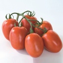 [110-110-103810-100] Tomate CYCLADE sin tratar (Gaut) italiano rojo (100/pk)