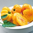 Tomato MARGOLD organic (Gaut) yellow marmande