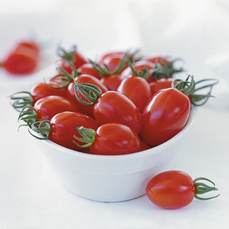 Tomate CAPRICCIO orgánico (Gaut) cherry rojo (100/pk)