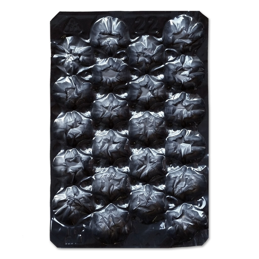 Fruit trays #22 black 30g (tomatoes 310g/10.9oz) (500/cs)