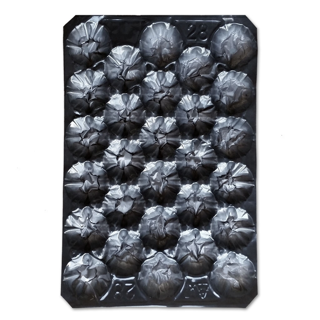 Fruit trays #28 black 30g (tomatoes 240g/8.8oz) (500/cs)