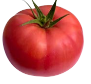 ​​Tomato BONBOLYA untreated (Gaut) beef pink (100/pk)