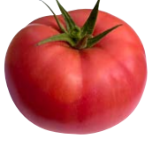 Tomate BONBOLYA sin tratar (Gaut) beef rosa (100/pk)