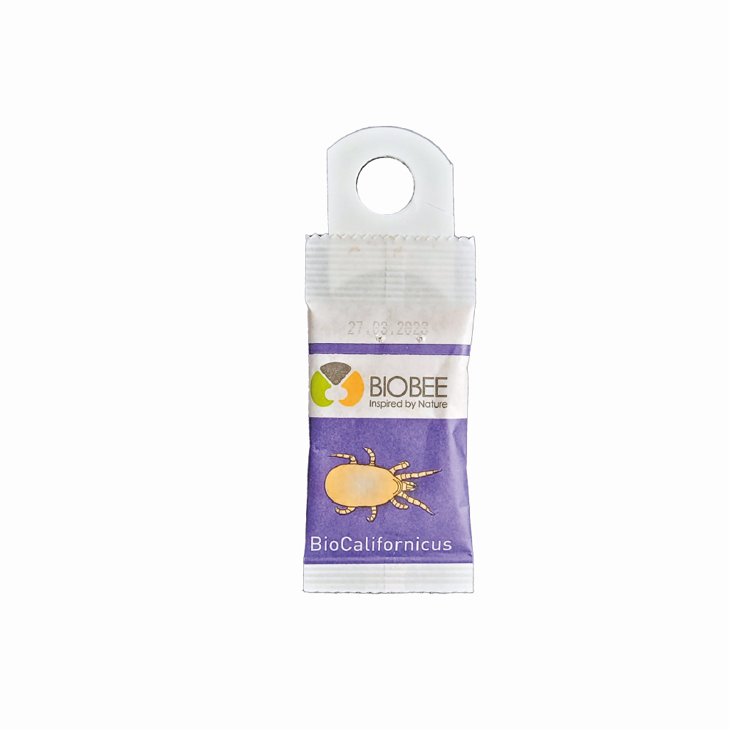 BioBee BioCalifornicus sachets - Neoseiulus californicus mites sachets with hooks 