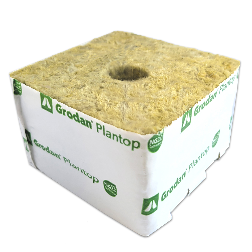 Growth blocks Plantop 6.5G 25/30 (10x10x6,5) – bulk units in a box *SPECIAL CLEARANCE PRICE*