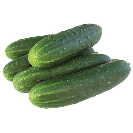 Cucumber SWING untreated (VZ) slicing (beith alpha) (250/pk)