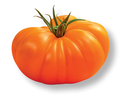 Tomato MARMANGO untreated (Gaut) marmande orange (100/pk)