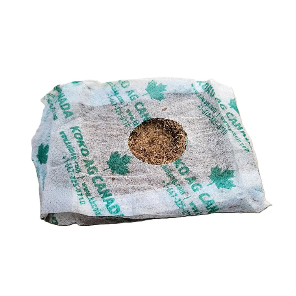 Bloc de croissance fibre de coco 10 x 10 x 6.5 cm  lavé (400/Bte) (trou 2.5cm) 1 trou 1-1/2"