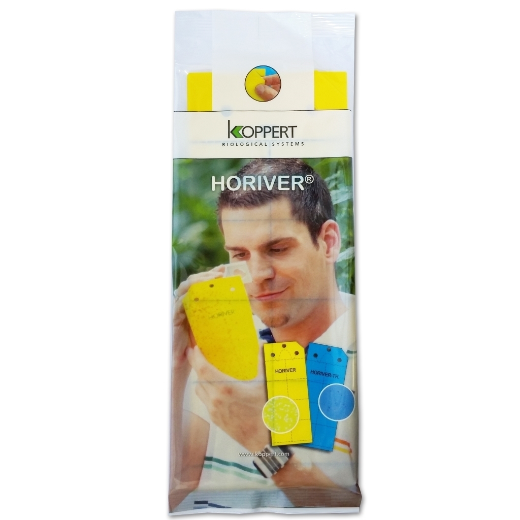 Pièges collants jaunes Horiver petit 25x10cm (10 pièges/pqt) 