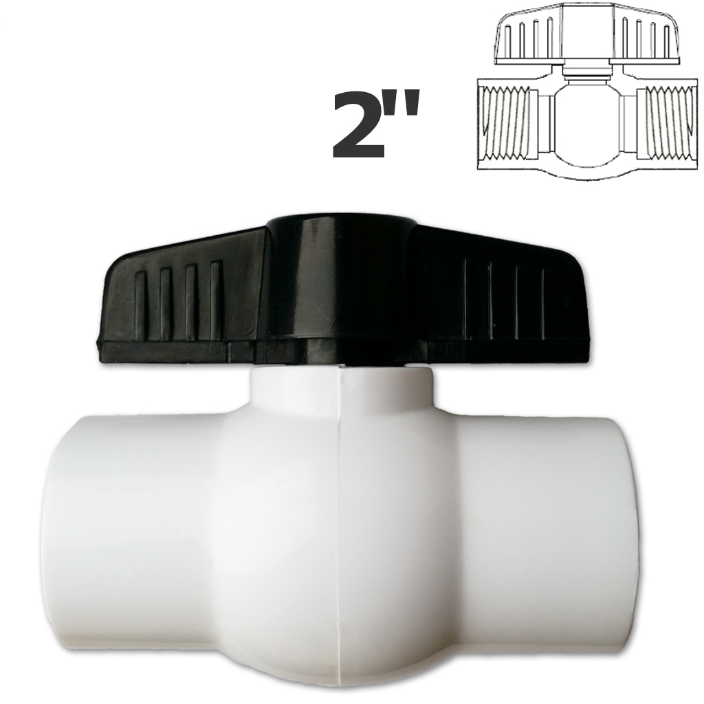 2 in. FPT white ball valve