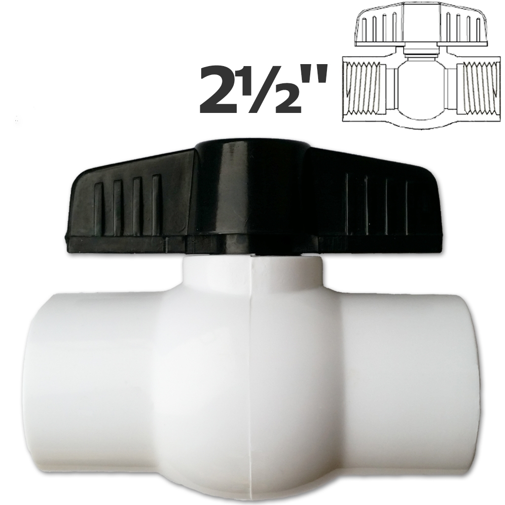 2 1/2 in. FPT white ball valve