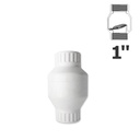 1 in. FPT white PVC swing check valve