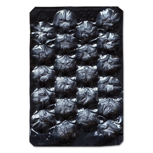 [170-140-011305] Fruit trays #22 black  (tomatoes 310g/10.9oz) (500/cs)
