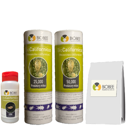 BioBee BioCalifornicus - Neoseiulus californicus mites