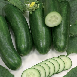 [110-110-323010-250] Cucumber SILOR untreated (VZ) mini (beith alpha) (250/pk)