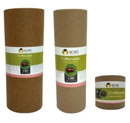 BioBee BioMaculata - Coleomegilla