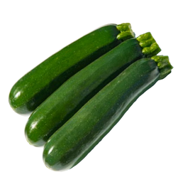 [110-110-141225-100] Courgette MAVERIC (Parthénocarpique) BIO (Gaut) zucchini vert (100/pqt) 