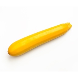 [110-110-091600-3000] Summer squash YELLOWFIN organic (Vit) yellow zucchini