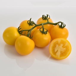 [110-110-101600-100] ​​Tomato MIMOSA (DJ129) untreated (Gaut) yellow bunch (100/pk)