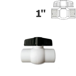 [150-150-012800] 1 in. FPT white ball valve