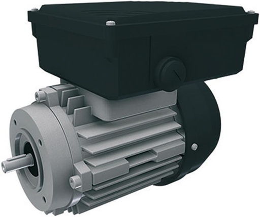 [160-120-153074] Replacement motor  1-phase 110-115-120V (0.09 kw/60 Hz) 3 wire, type F (RW-45)