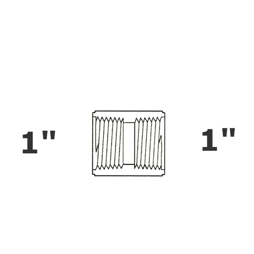 [190-110-004355] Acoplamiento gris 1 FPT x 1 FPT sch 40