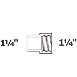 [190-110-005475] Adapter grey 1 1/4 SP x 1 1/4 FPT sch 40