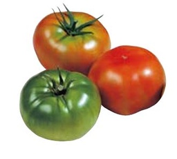 [110-110-102516-100] Tomate GORDAL sin tratar (Gaut) round rojo (100/pk)