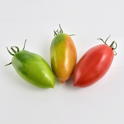 [110-110-103055-100] Tomate CLANIO sin tratar (Gaut) italiano rojo marzano (100/pk)