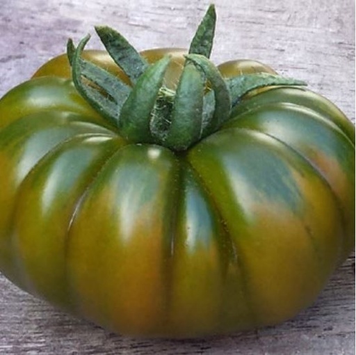 [110-110-102301-100] Tomate RAFFY ('DCM532') N-T (Gaut) marmande rouge