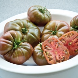 [110-110-103000-100] Tomate MARNERO 'DN96' sin tratar (Gaut) marmande negra (100/pk)
